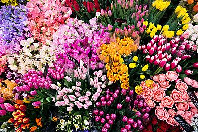 索尼公布新游戏显示器和耳机 面向PC玩家