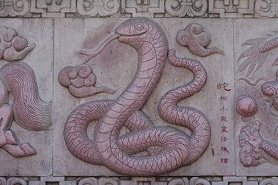 Team Spirit是今年电竞比赛奖金最多的队伍