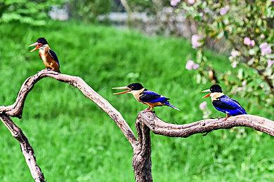 老美也鸡娃？《美国式家长》提名日本 BitSummit 最佳海外游戏